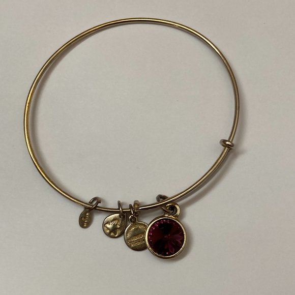 Alex and Ani February Birthday Bracelet - Picture 2 of 4